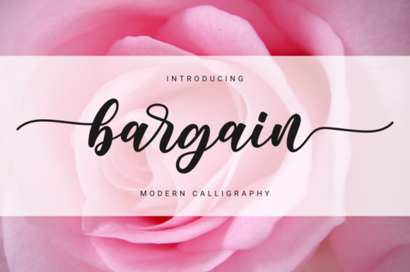 Bargain Font Poster 1