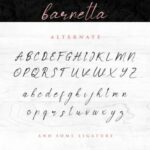 Barnetta Font Poster 10