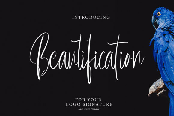 Beautification Font Poster 1