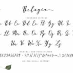 Belagia Font Poster 5