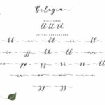 Belagia Font Poster 6