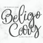 Beligo Cary Font Poster 1