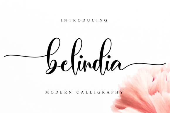 Belindia Font Poster 1