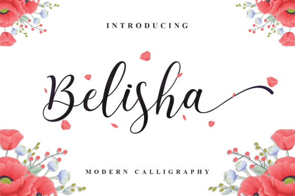 Belisha Font