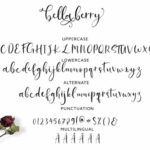 Bella Berry Font Poster 5