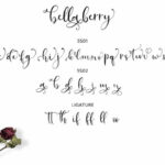 Bella Berry Font Poster 6