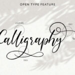 Bellamanda Script Font Poster 6