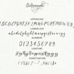 Bellamanda Script Font Poster 7