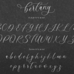 Bertany Font Poster 6