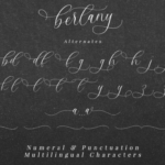 Bertany Font Poster 7