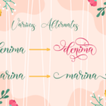 Bianca Script Font Poster 5