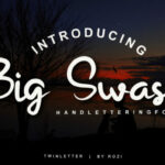 Big Swash Font Poster 1