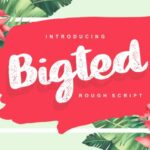 Bigted Font Poster 1