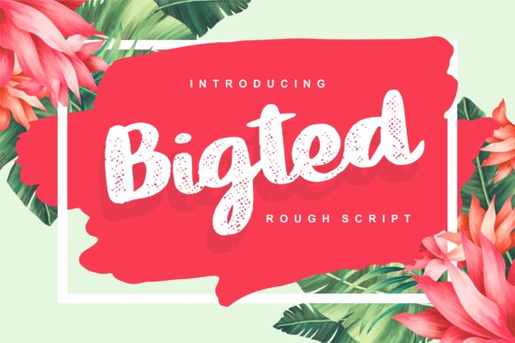 Bigted Font Poster 1