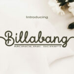 Billabang Font Poster 1