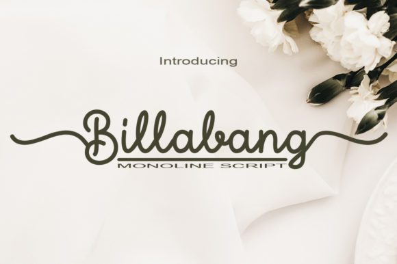 Billabang Font Poster 1