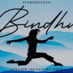 Bindhu Font Poster 1