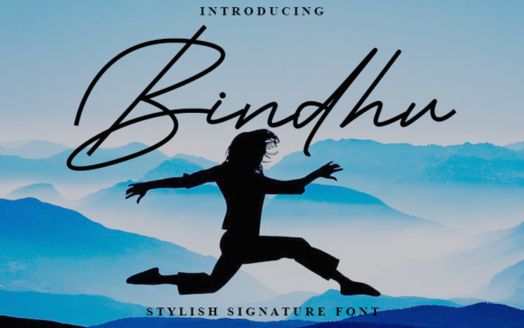 Bindhu Font Poster 1