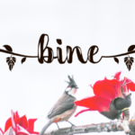 Bine Font Poster 1