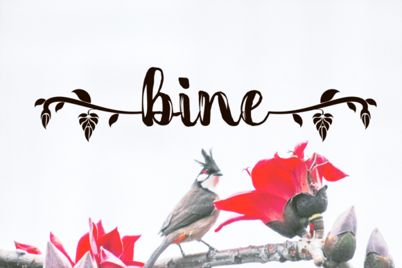 Bine Font Poster 1