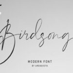 Birdsong Font Poster 1