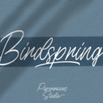 Birdspring Font Poster 1