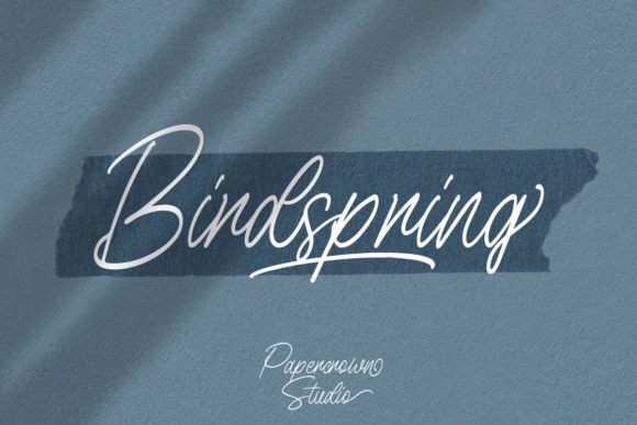 Birdspring Font Poster 1