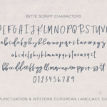 Bitte Font Poster 10