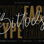 Bittods Duo Font Poster 1