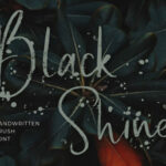 Black Shine Font Poster 1