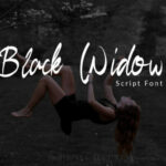 Black Widow Font Poster 1