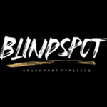 Blindspot Font Poster 1