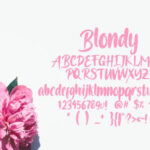Blondy Font Poster 5