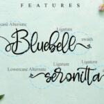 Bluebell Font Poster 10