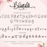 Bluettelli Font Poster 14