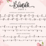 Bluettelli Font Poster 17