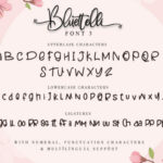 Bluettelli Font Poster 18