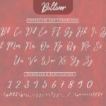 Bolliver Font Poster 4