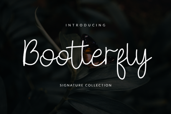 Bootterfly Font Poster 1