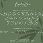 Borderline Font Poster 3