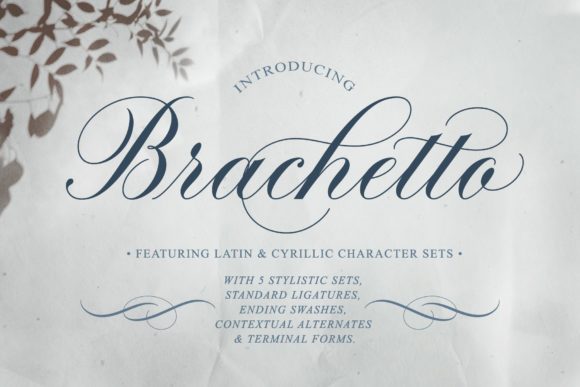 Brachetto Font Poster 1