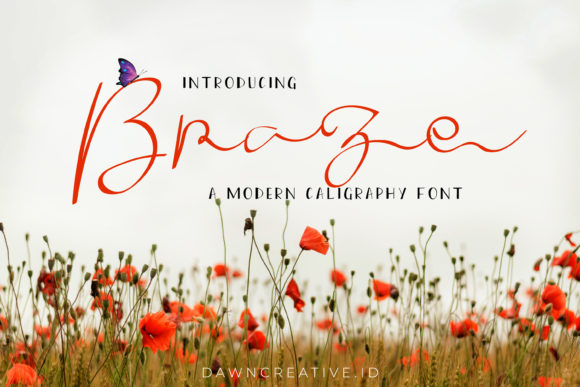 Braze Font Poster 1