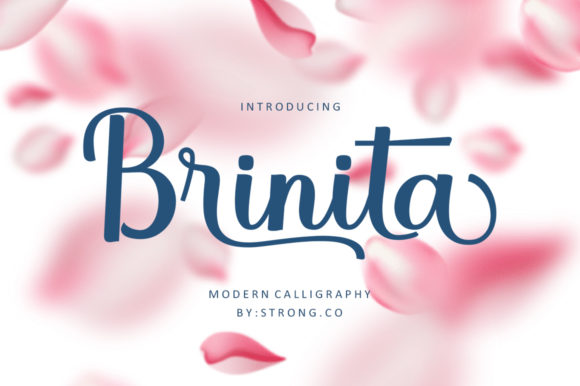 Brinita Font Poster 1