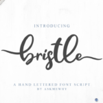 Bristle Font Poster 1