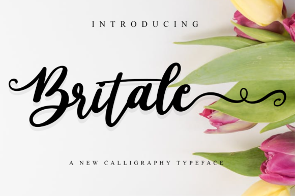 Britale Script Font Poster 1