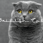 British Cat Font Poster 1