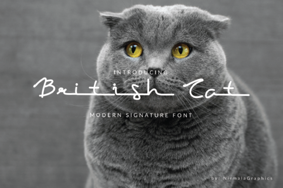 British Cat Font Poster 1