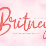 Britney Font Poster 1