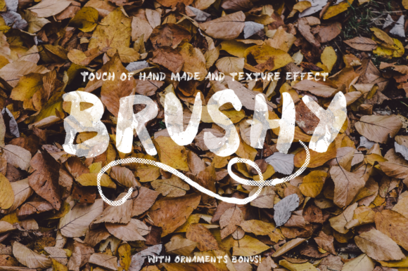 Brushy Font Poster 1