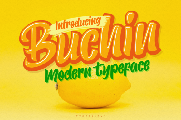 Buchin Font